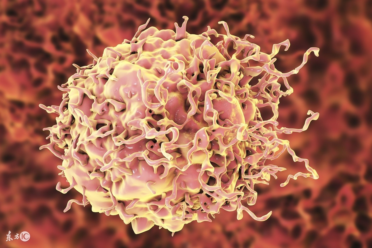 高血压可以补硒吗(一个肾可以补硒吗)-硒宝网