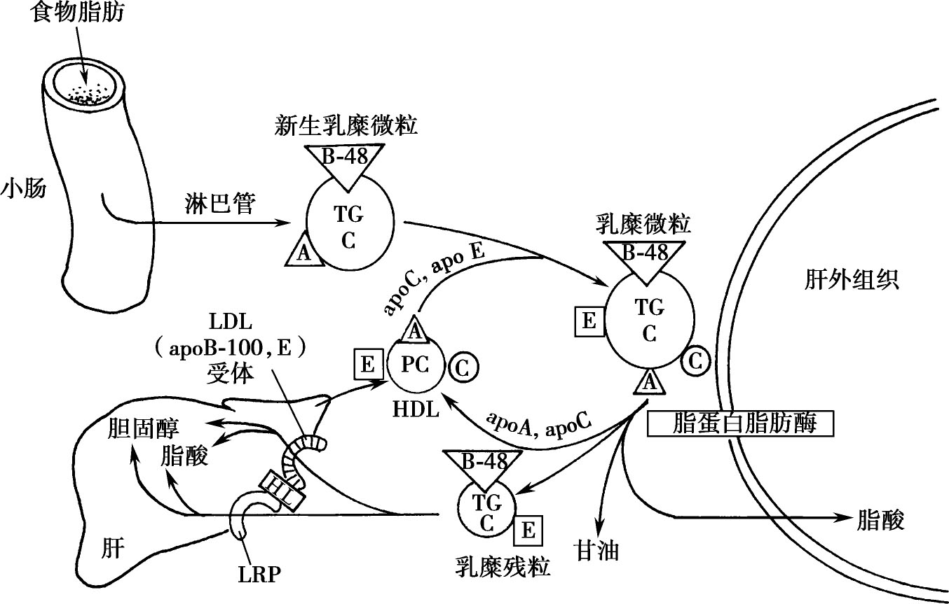 身体需要补硒吗（需要补硒么）-硒宝网