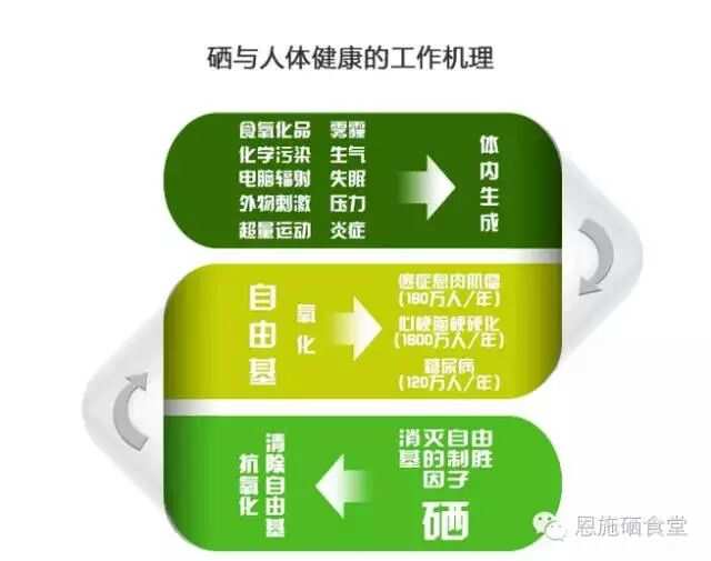 人体每天补硒多少为佳?（人体一日正常补水量为多少）-硒宝网