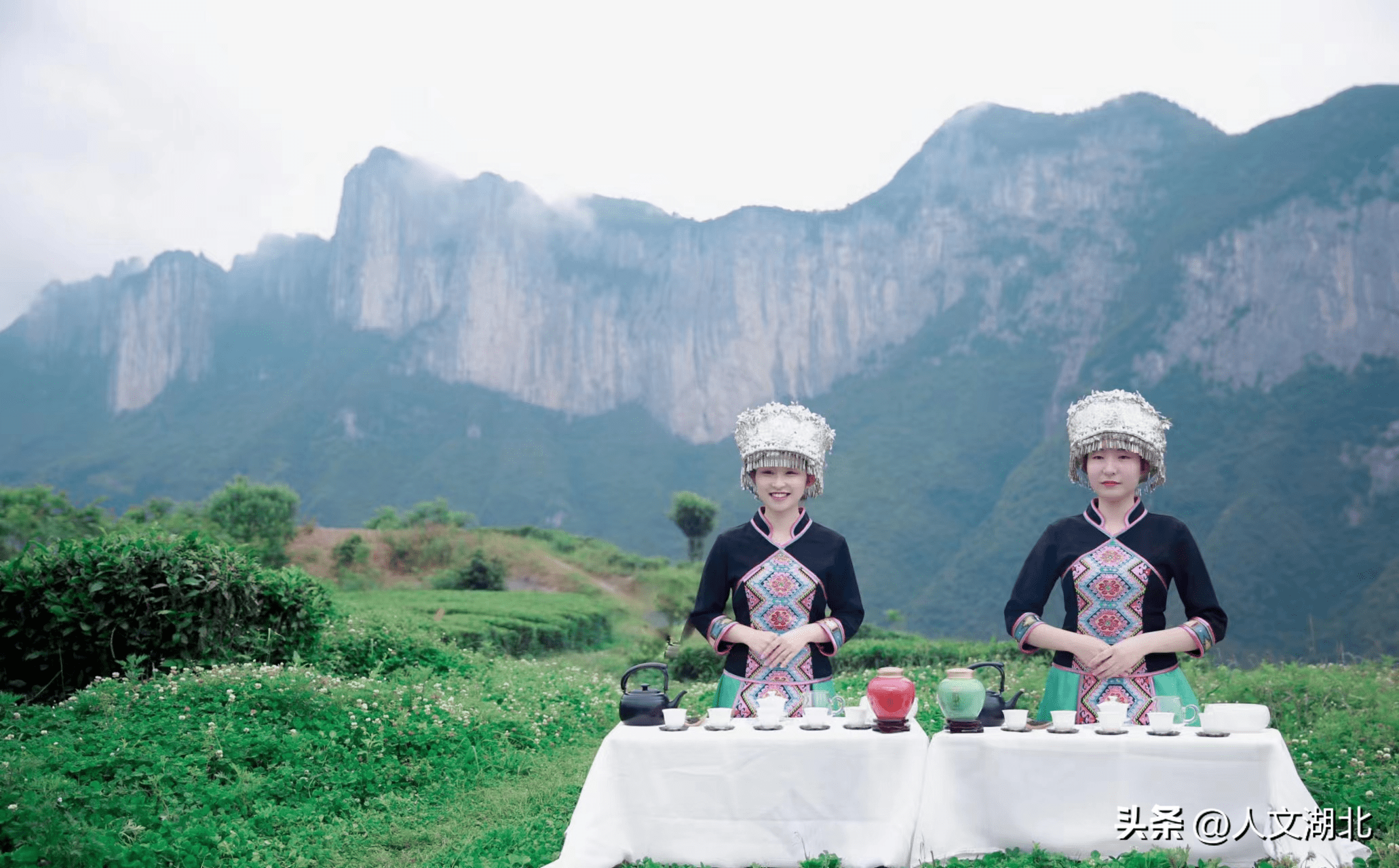 恩施富硒茶的制作过程（恩施富硒茶是红茶吗）-硒宝网
