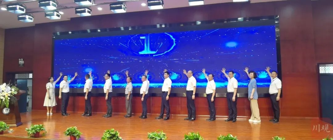 富硒雀舌茶叶 万源（万源巴王雀舌价格）-硒宝网