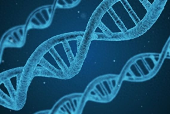 日常怎么补硒(补硒一般要连续补多久)-硒宝网