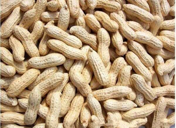 哪种食物补硒效果好(补硒的食材)-硒宝网