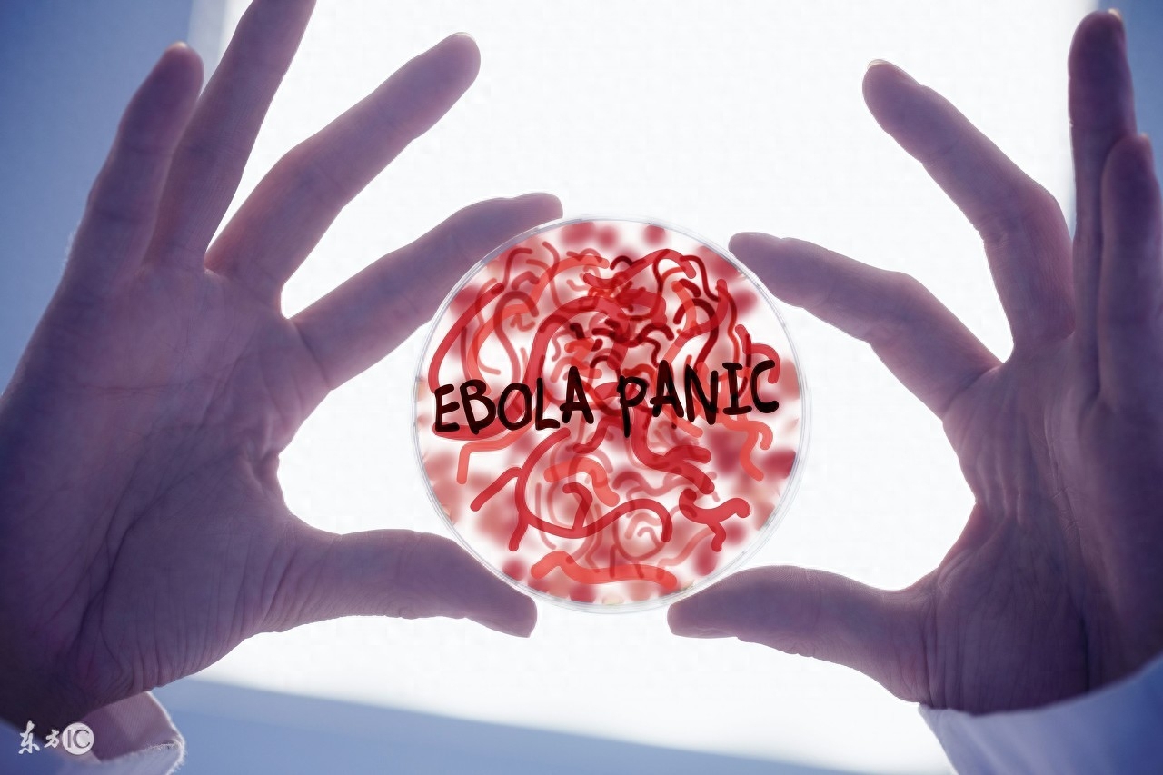 吃什么食物可以补硒（吃哪些食物可以补硒）-硒宝网