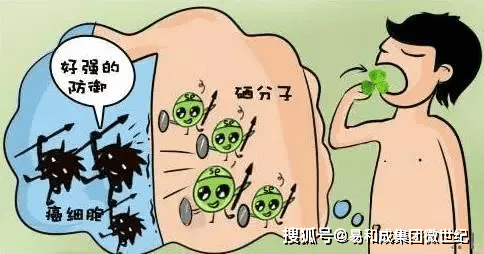 硒是补充什么作用(科学补硒选择补充)-硒宝网