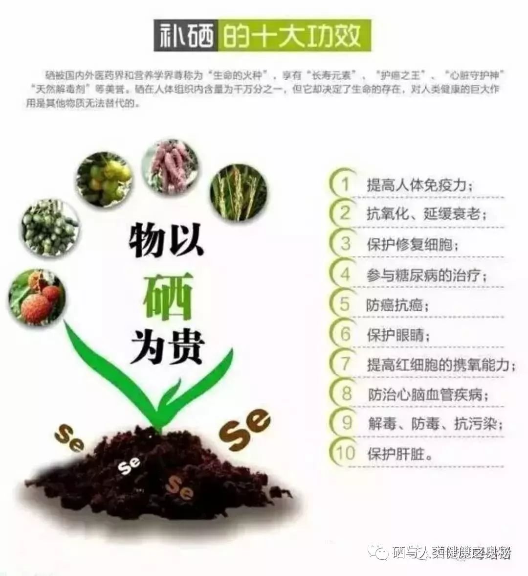 硒补多了会怎样（补硒会发胖吗女性）-硒宝网