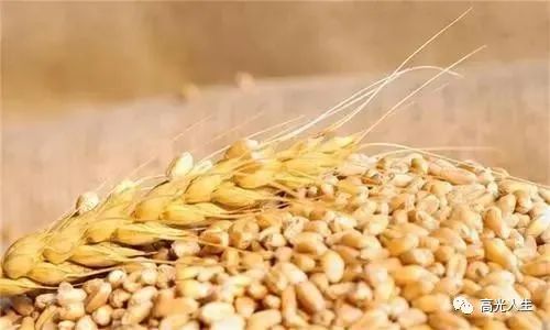 补硒吃哪种硒好(那种补硒产品好)-硒宝网