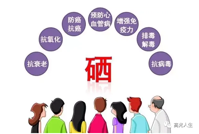 补硒吃哪种硒好(那种补硒产品好)-硒宝网