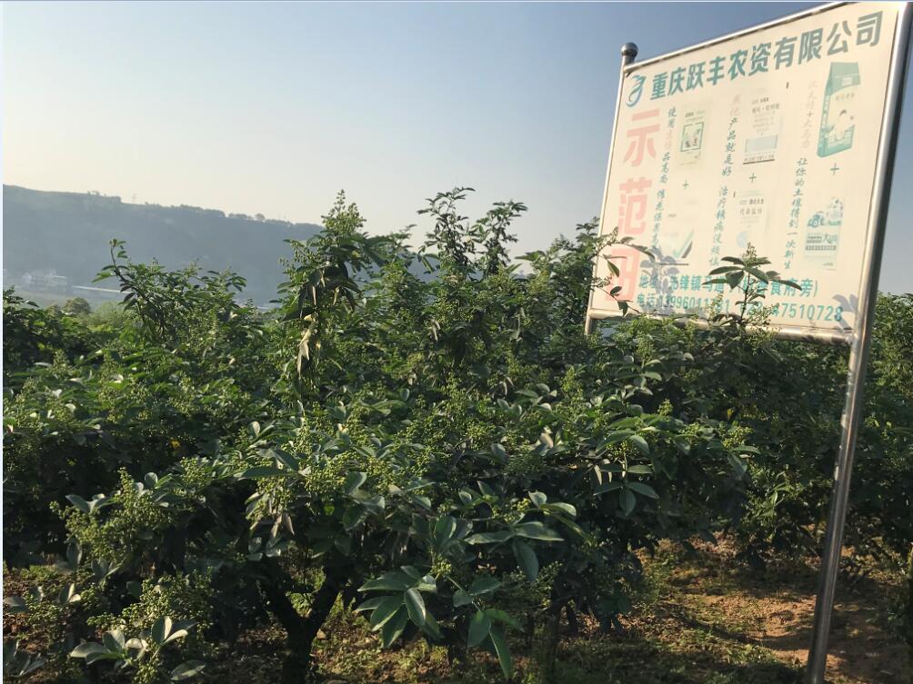 十大富硒地区(富硒城市)-硒宝网