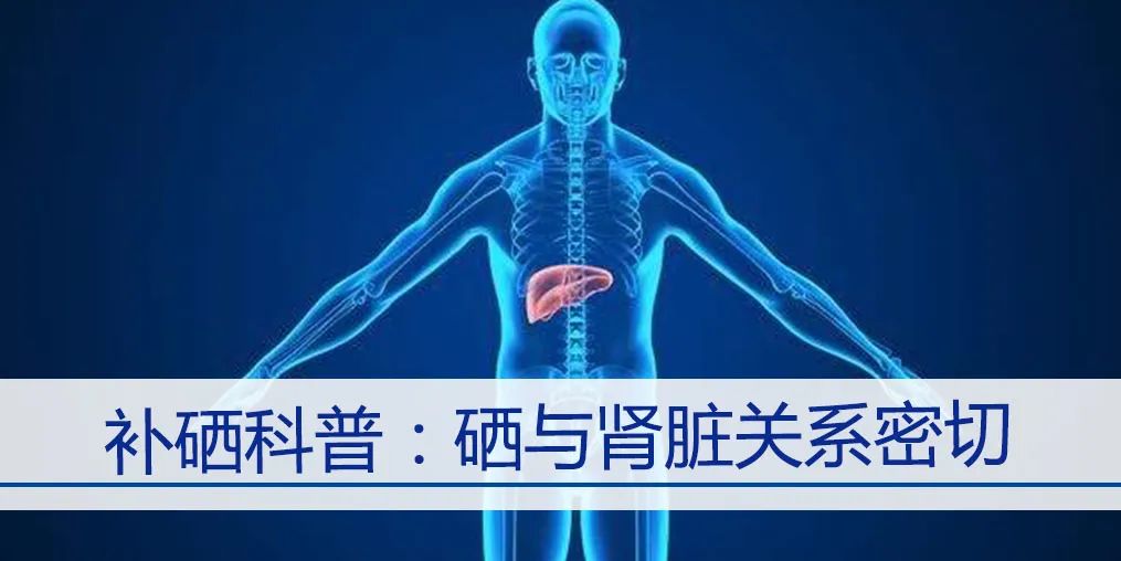 补硒对人体有哪些好处(补硒一般要连续补多久)-硒宝网