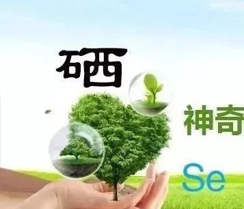 补硒对人体有哪些好处(人体补硒的好处)-硒宝网