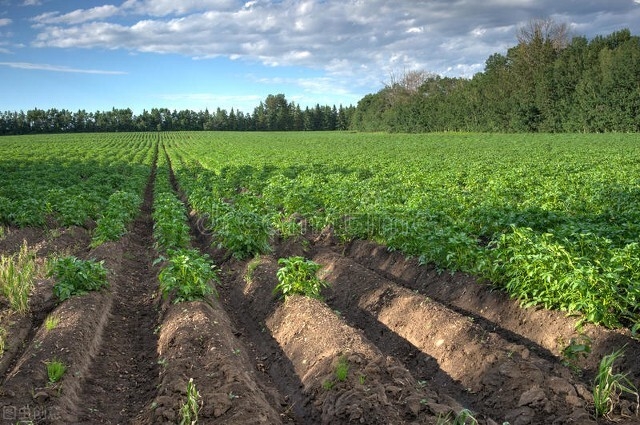 补充硒的作用(补充硒的药物有哪些)-硒宝网