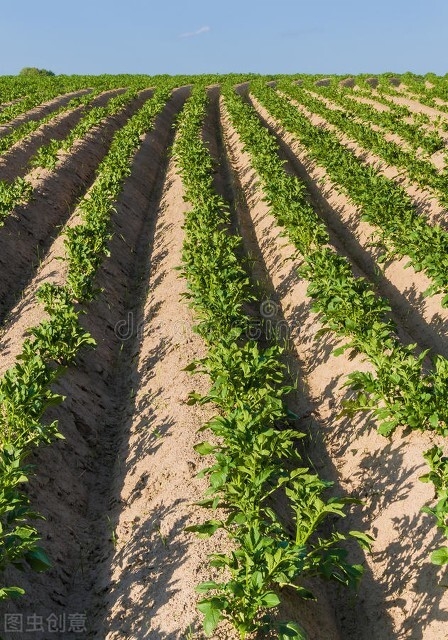 补充硒的作用(补充硒的药物有哪些)-硒宝网