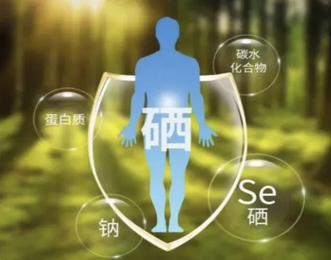 硒元素需要补吗（补元素需要硒含量吗）-硒宝网