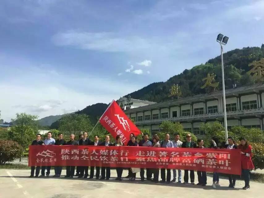 陕西富硒茶产地（陕西富硒茶属于什么茶）-硒宝网