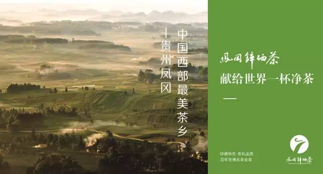 陕西富硒茶产地（陕西富硒茶属于什么茶）-硒宝网