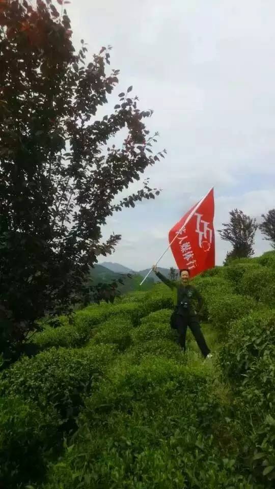 陕西富硒茶产地（陕西富硒茶属于什么茶）-硒宝网