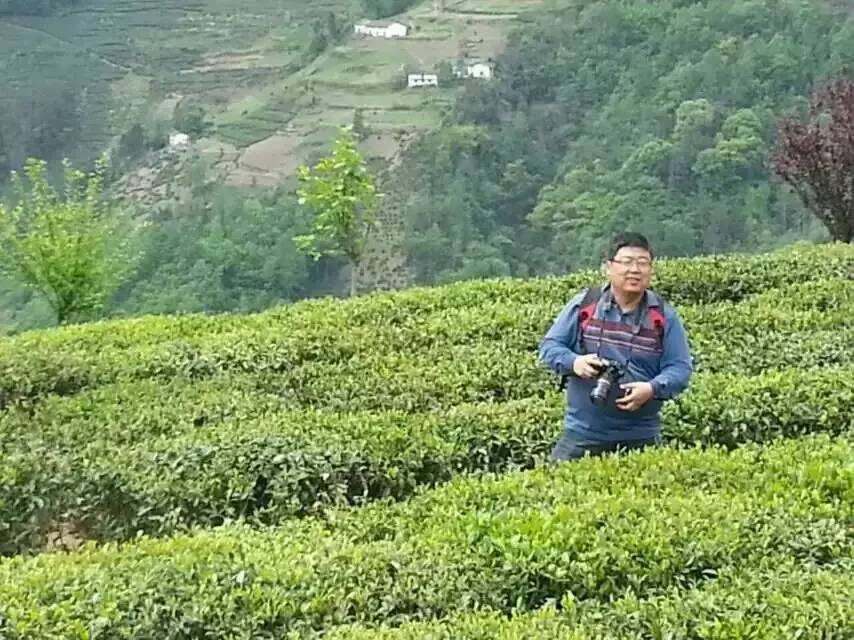 陕西富硒茶产地（陕西富硒茶属于什么茶）-硒宝网