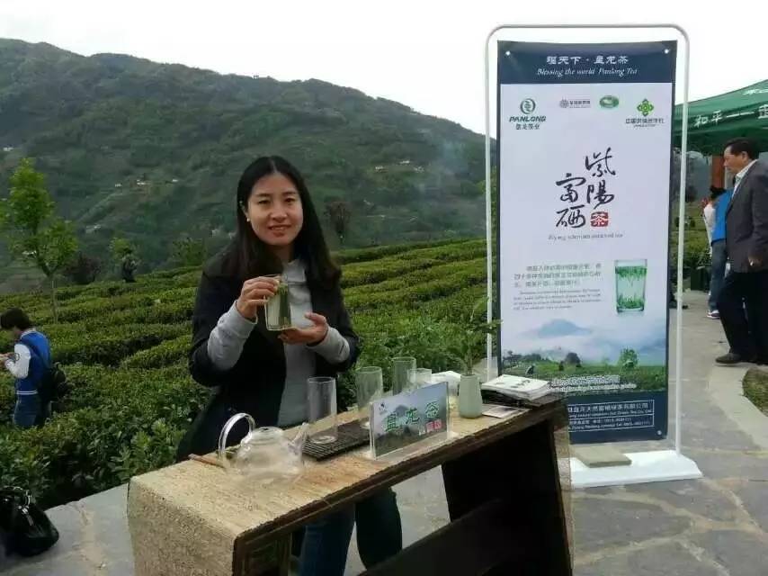 陕西富硒茶产地（陕西富硒茶属于什么茶）-硒宝网