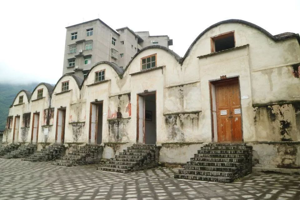 陕西富硒茶产地(陕南富硒茶叶)-硒宝网