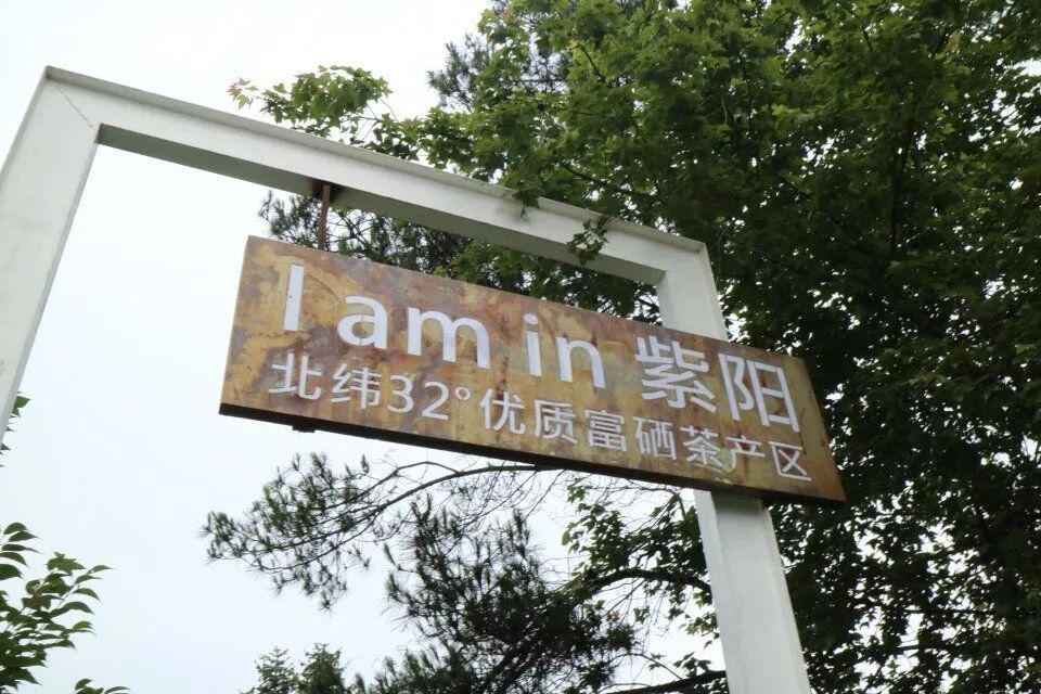 陕西富硒茶产地(陕南富硒茶叶)-硒宝网