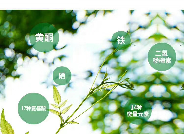 藤茶有什么功效与作用（藤茶的药性）-硒宝网