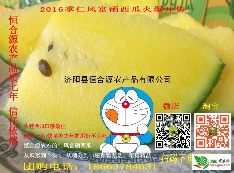济阳仁风富硒西瓜采摘(2017仁凤富硒西瓜价格)-硒宝网