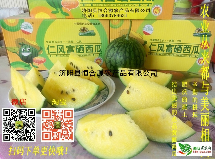 济阳仁风富硒西瓜采摘(2017仁凤富硒西瓜价格)-硒宝网