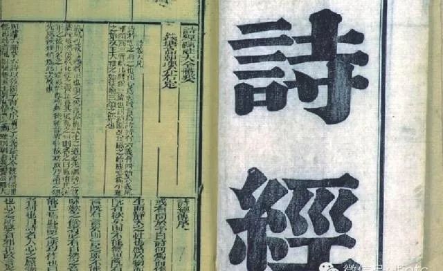 藤茶是不是茶(莓茶是藤茶吗)-硒宝网