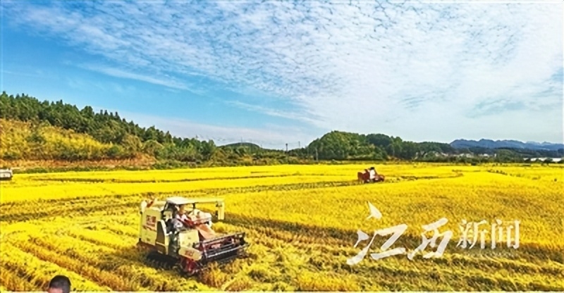 江西宜春富硒农产品有哪些（宜春富硒大米怎么样）-硒宝网