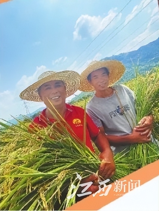 江西宜春富硒农产品有哪些（宜春富硒大米怎么样）-硒宝网