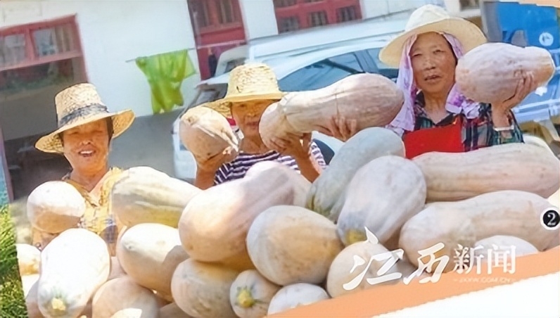 江西宜春富硒农产品有哪些（宜春富硒大米怎么样）-硒宝网