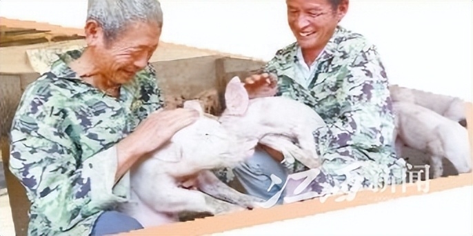 江西宜春富硒农产品有哪些（宜春富硒大米怎么样）-硒宝网