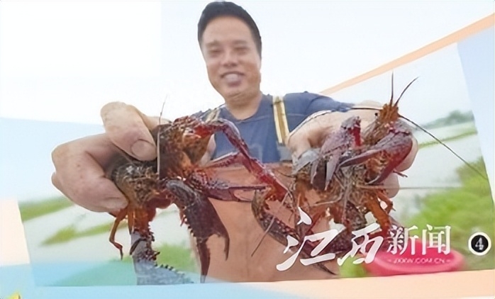 江西宜春富硒农产品有哪些（宜春富硒大米怎么样）-硒宝网