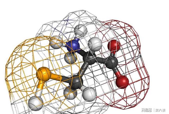 硒元素吃什么补（补充硒元素有什么禁忌）-硒宝网