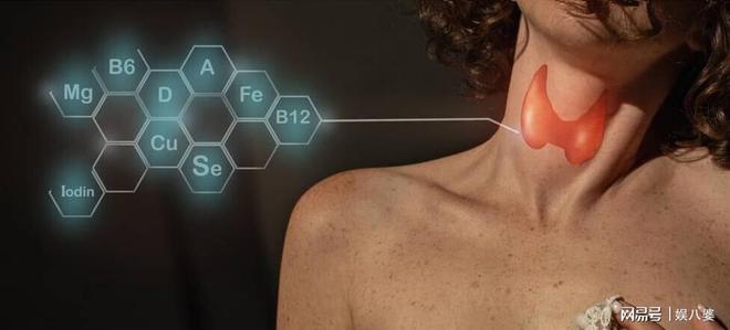 硒元素吃什么补（补充硒元素有什么禁忌）-硒宝网