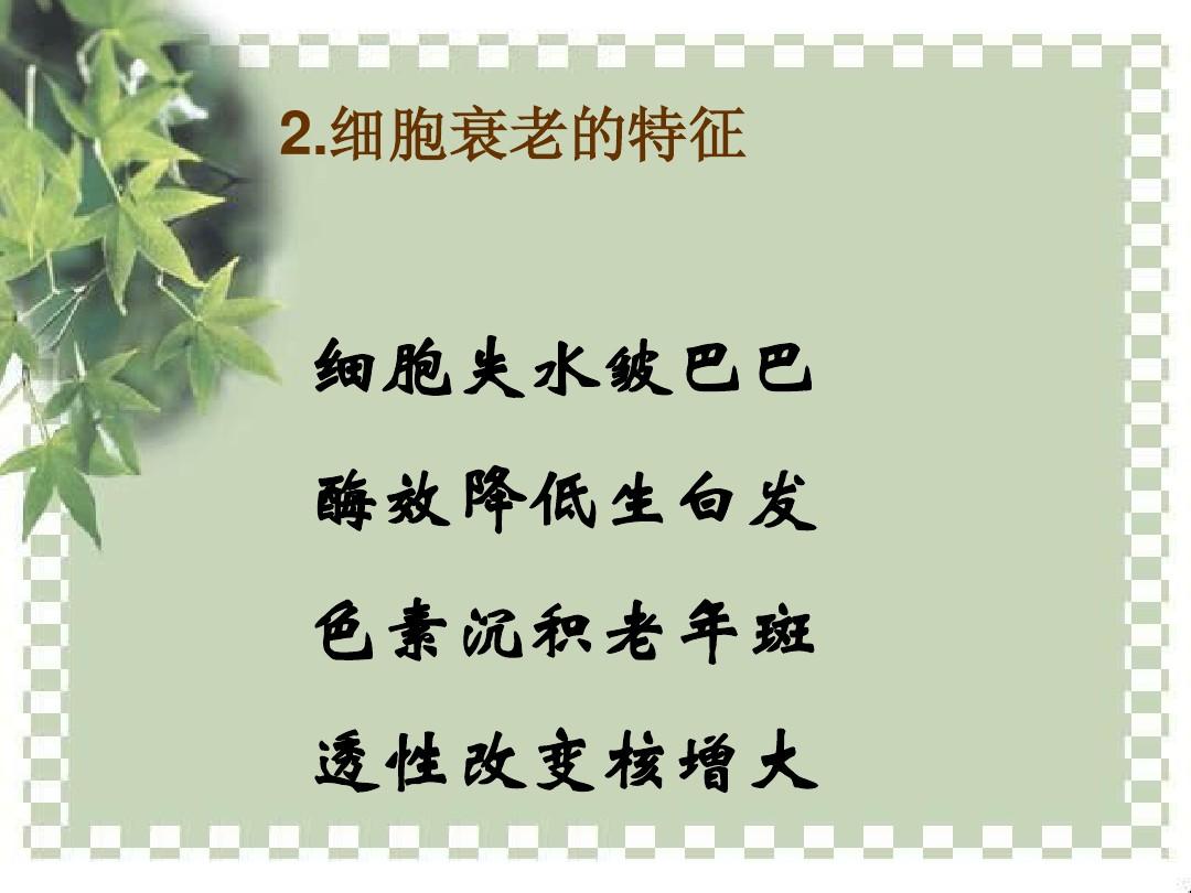 女人可以补硒吗(女人补硒一年后)-硒宝网