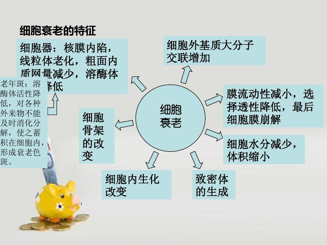 女人可以补硒吗(女人补硒一年后)-硒宝网