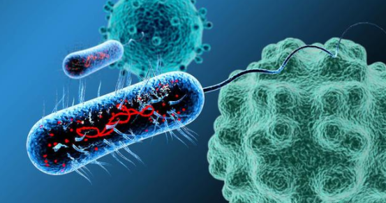 科学补硒选择补充什么硒(硒补充途径)-硒宝网