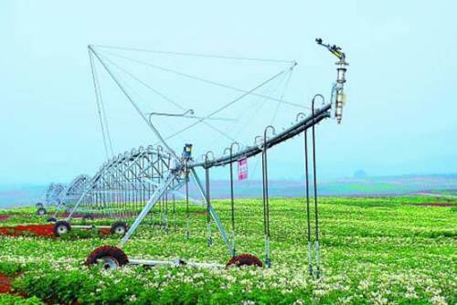 如何种植富硒的农作物(作物富硒技术)-硒宝网