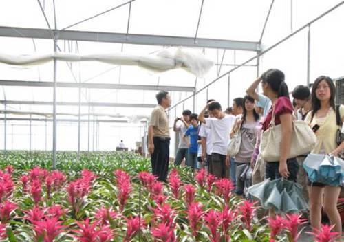 如何种植富硒的农作物(作物富硒技术)-硒宝网