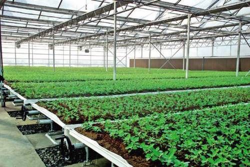 如何种植富硒的农作物(作物富硒技术)-硒宝网