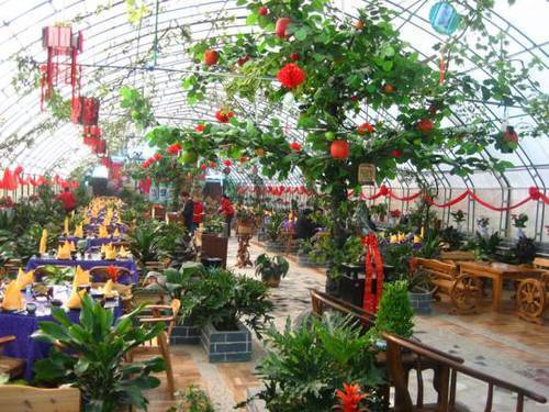 如何种植富硒的农作物(作物富硒技术)-硒宝网