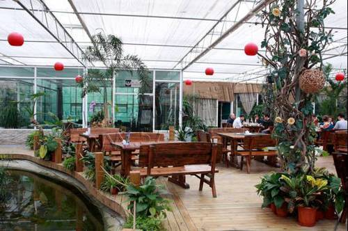 如何种植富硒的农作物(作物富硒技术)-硒宝网