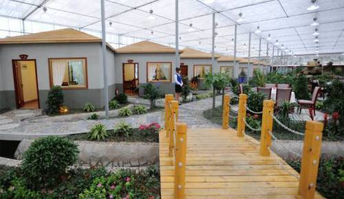 如何种植富硒的农作物(作物富硒技术)-硒宝网