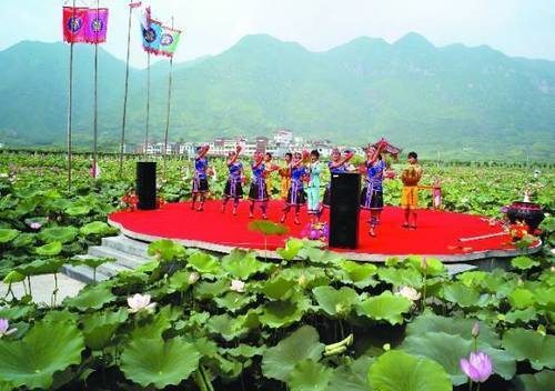 如何种植富硒的农作物(作物富硒技术)-硒宝网