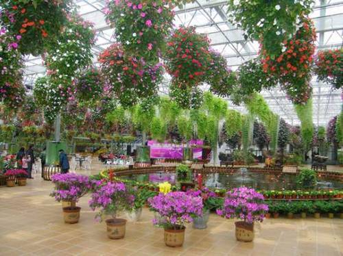 如何种植富硒的农作物(作物富硒技术)-硒宝网