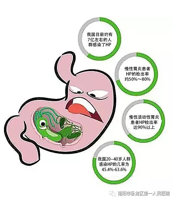 补硒对胃有什么好处（补硒对胃的好处）-硒宝网