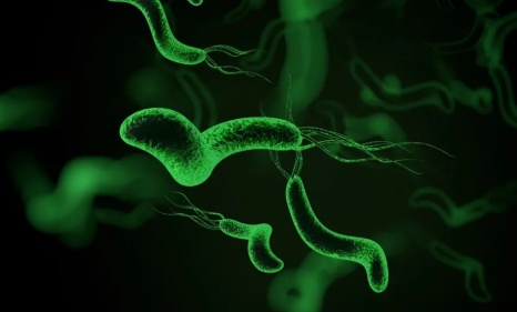 补硒对胃有什么好处（补硒对胃的好处）-硒宝网