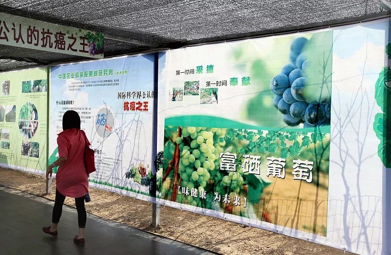 什么菜补硒效果最好(效果补菜好硒片有哪些)-硒宝网